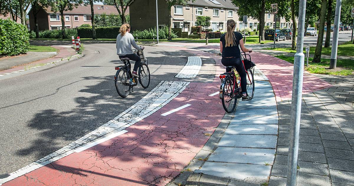 Minder bomen en parkeervakken, maar de Zeggelaan wordt wel veiliger voor fietsers en voetgangers - B
