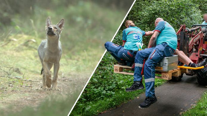 Cees van Kempen/Ardesch fotografie