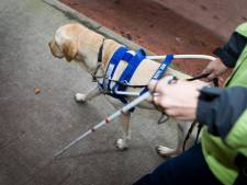 Neuf projets pour les handicapés vont recevoir des sous de la Ville de Charleroi