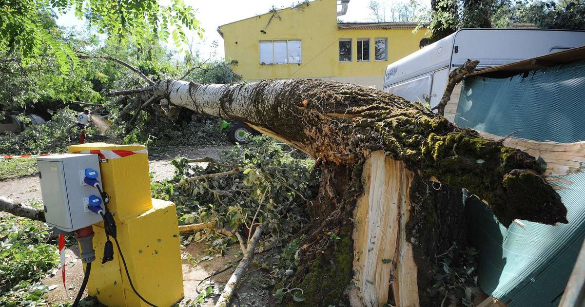 Tornado maakt abrupt einde aan vakantie familie Hofstee Binnenland