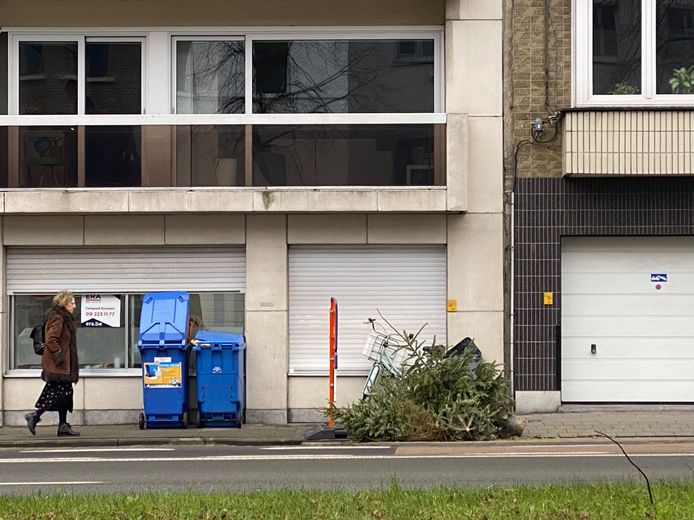 Overal sparren in Gent.