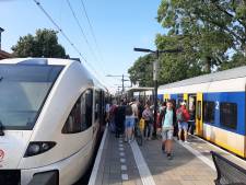 Extreem lange treinreis van en naar Tiel houdt nog drie weekenden aan
