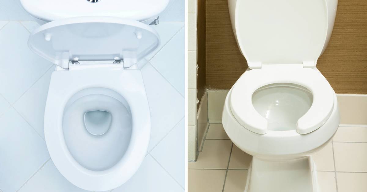 nederlaag massa kalmeren Waarom is de wc-bril van een openbaar toilet U-vormig en die van thuis  rond? | Nina | hln.be