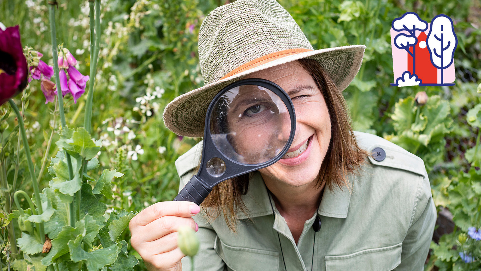 Safari tussen de struiken spot jij deze 10 kleine beestjes in je tuin