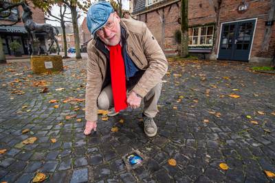 ‘Weggebuldozerd’ kunstproject in Delden hersteld met peuken uit Duitsland en Hongaarse kikker