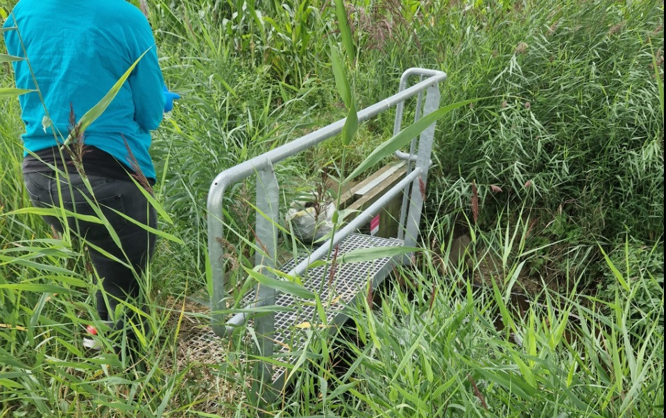 Zak met dode vogels gedumpt tussen Haren en Berghem ‘Voor de lol uit de lucht geschoten’ Foto