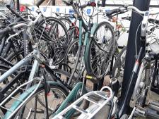 Lopend naar huis na brutale zadeldiefstal op klaarlichte dag in Doesburg, dader gefilmd
