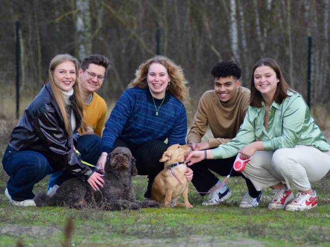 Vijf studenten organiseren eerste editie van Summerbark aan Bar Basil in Gierle: “Dag vol plezier voor viervoeters en hun baasjes”