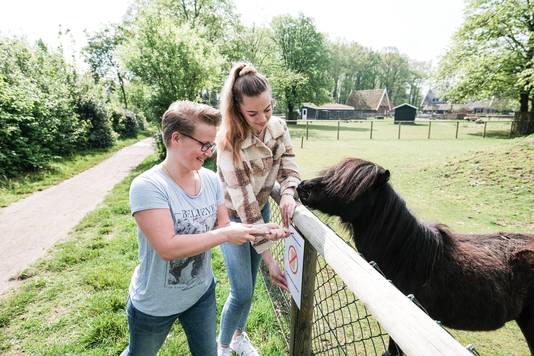 Freriks Children's Farm in Winterswijk.