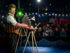 Circus in de Zorg strijkt neer in Odiliapeel: drie keer een show voor jong en oud  