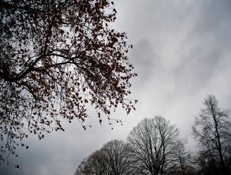 Komende dagen rustig herfstweer met kans op een bui 