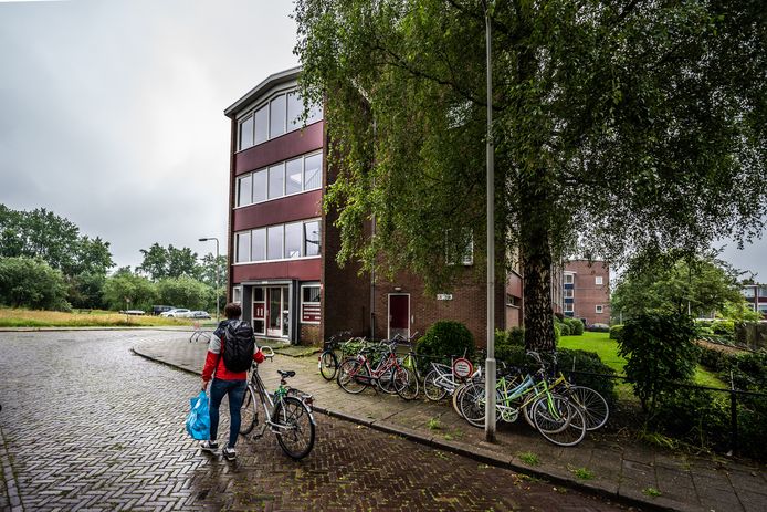 Beeld uit Presikhaaf.