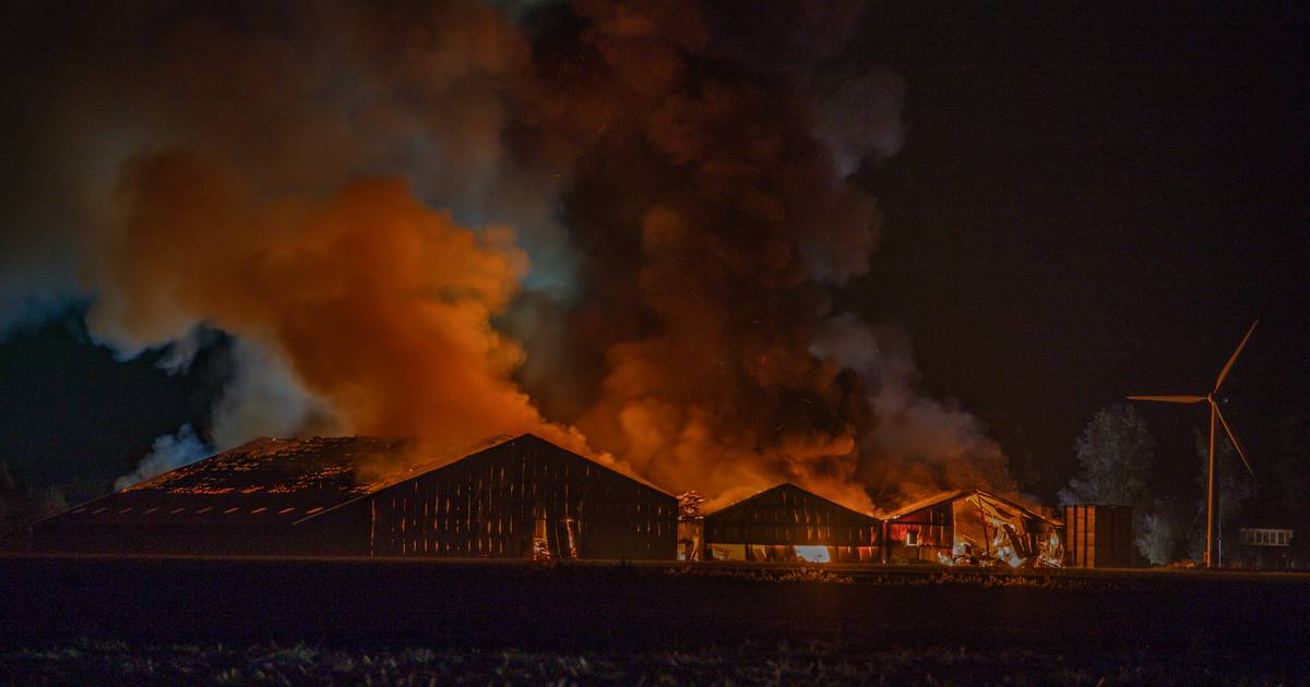 Drie loodsen op Hantumerwei in Ternaard volledig in brand