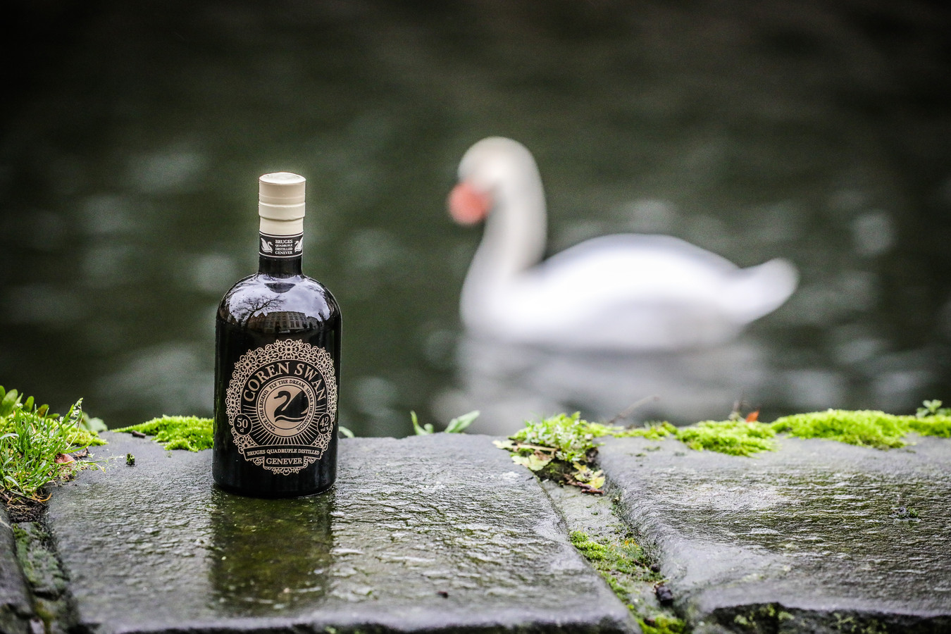 Brugse brouwers van ‘beste gin ter wereld’ wagen zich aan een jenever