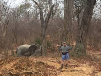 Jager poseert trots met doodgeschoten olifant in Zimbabwe