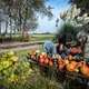 Zorgboerderij De Boterbloem moet wijken voor Schiphol