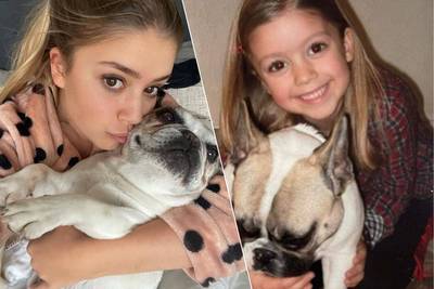 Zita Wauters neemt afscheid van geliefde hond Julleke: “Mijn hart is gebroken”