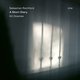 De acht hymne-achtige stukken op het album van Sebastian Rochford klinken melancholiek en teder ★★★★☆