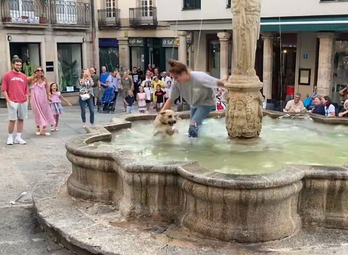 Pak me dan als je kan! Hond wil niet meer uit fontein in Spanje.