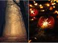 Les balades nocturnes à faire le soir d’Halloween en Wallonie pour frissonner