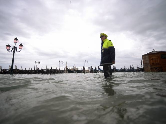 IN BEELD. Venetië kreunt onder aanhoudende watersnood, wind voert water opnieuw de stad in: San Marcoplein afgesloten voor toeristen