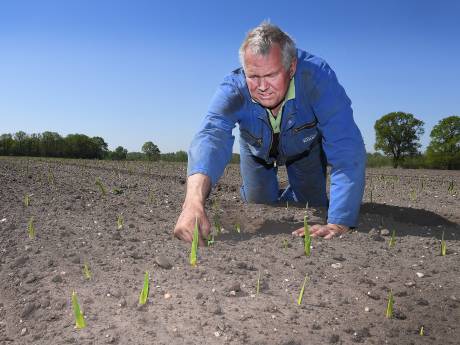 Heumense gladiolenkweker wil verhuizen, maar mag geen woonwijk bouwen