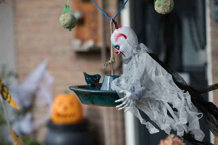 Tuin in Wijhe waar de Hallowiejeweek begint.