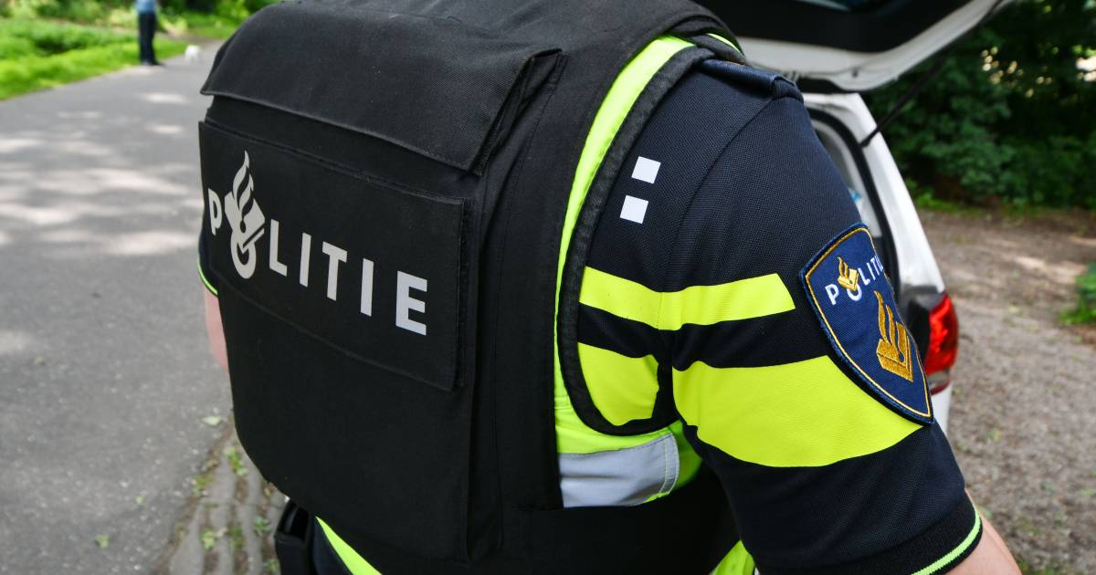 Verdachte steekpartij na achtervolging met behulp van omstanders aangehouden