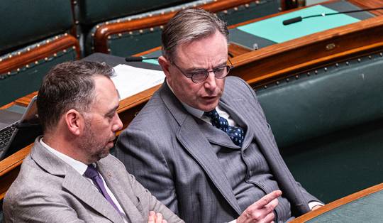 Na tien maanden wachten: regering-De Wever buigt zich over importverbod tegen Israël