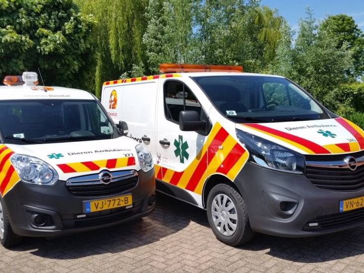 Spelende kinderen vinden dode kittens in een zandbak in Drunen
