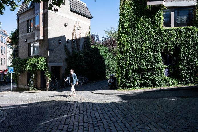 Groen begroeide gevels in de Benedenstad in Nijmegen helpen om hittestress tegen te gaan. Als de zon erop staat, warmen stenen veel meer op dan planten en struiken.