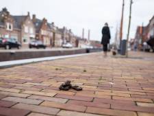 Inwoners van De Ronde Venen voelen zich veilig, maar balen van hondenpoep en verkeershufters