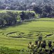VS staken miljoenen in geheim onderzoek naar ufo's