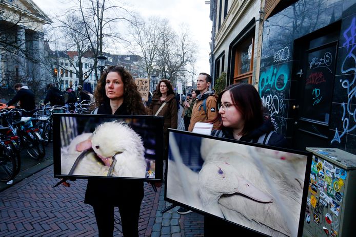 Protest tegen de verkoop van foie gras bij restaurant Cantina di David op de Oudegracht aan de Werf.