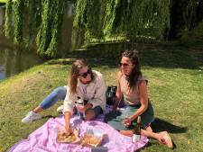 Toffler Festival dit jaar als ‘picknick-editie’: een techno-feestje, maar dan anders
