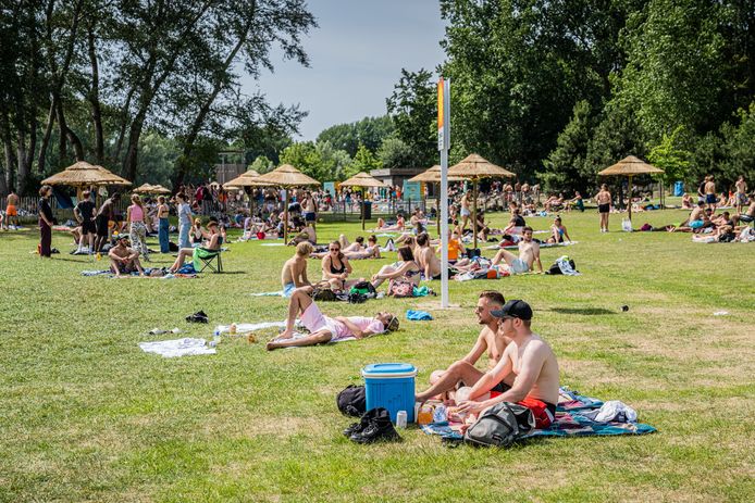 zomer, hittegolf, warm weer, zomerbeelden, blaarmeersen, rode vlag,