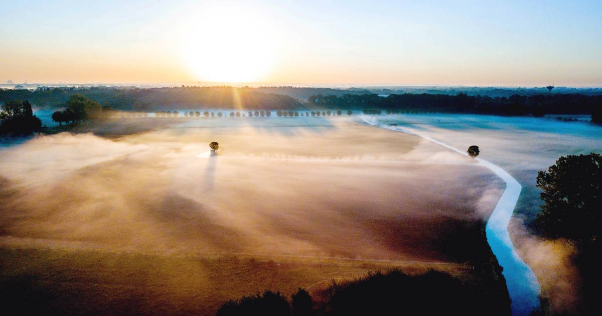 Nevelige velden en zachte winterkleuren, de herfst lijkt begonnen - De Gelderlander