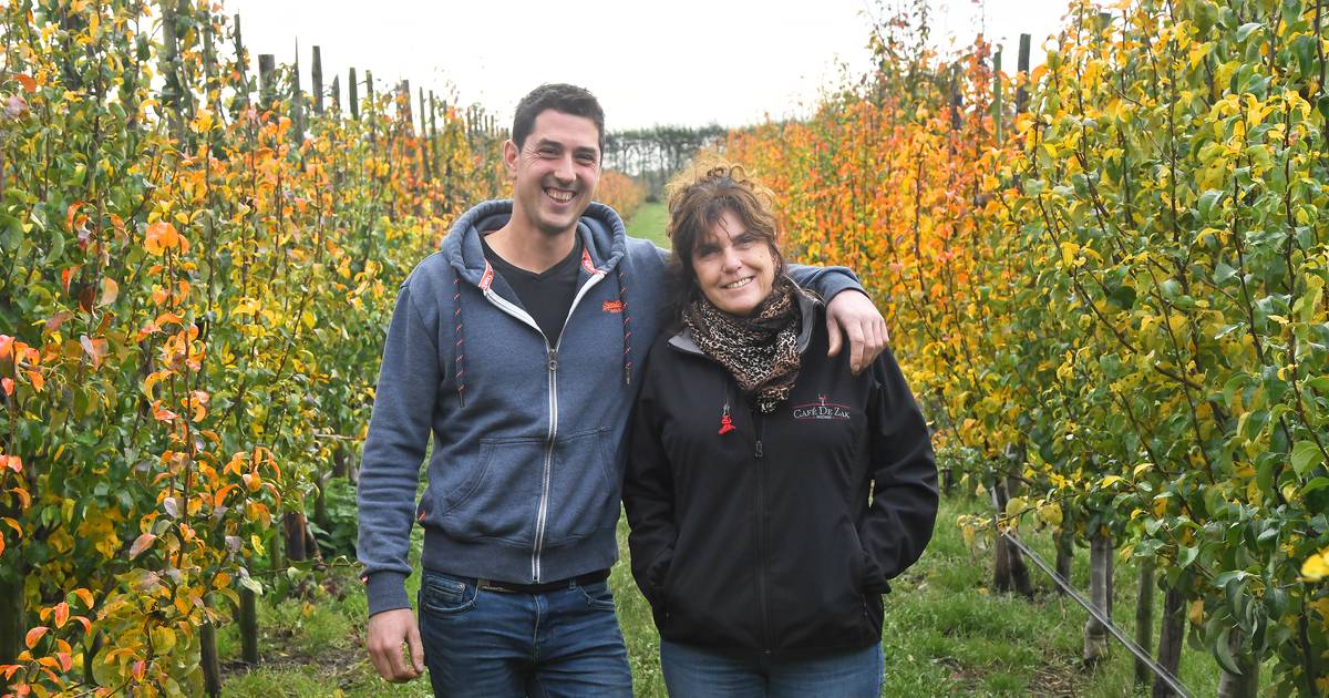 Fruitteler Rik: ‘Over onze rug is er een statement naar Poetin gemaakt’