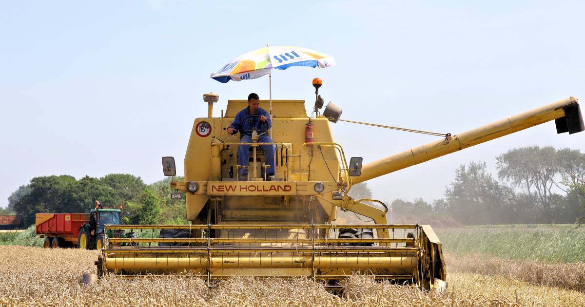 MIJN FOTO | Take it easy, take a sisi