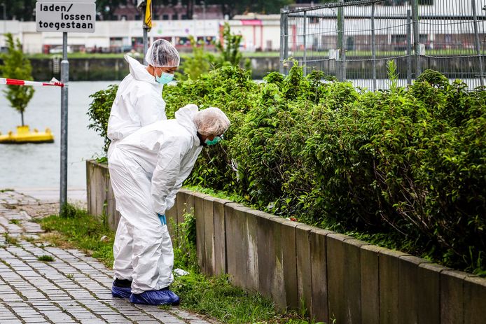 Forensisch rechercheurs onderzoeken de plantenbak bij het Nieuwe Luxortheater in Rotterdam. MediaTV