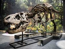 T. rex van Naturalis Leiden gekopieerd voor museum in Japan