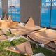 Brussels burgemeester Close laat kartonnen tenten van minderjarige migranten vernietigen: ‘Trieste episode van een structureel probleem’