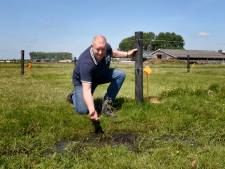 Deze koeien hebben 5 jaar lang natte voeten: kun je als boer zo nog wel je boterham verdienen?