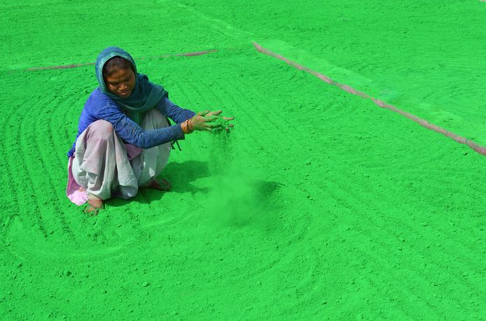 Een Indiase vrouw filtert de groene kleurstof op een fabrieksterrein in Mathura voordat deze wordt verpakt als kleurenpoeder voor gebruik tijdens het Holi Festival.