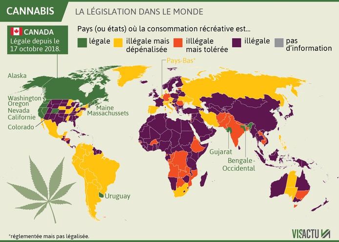 La législation dans le monde