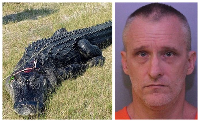 De doodgeschoten alligator. Foto rechts: Michael Ford werd tien dagen voor zijn dood nog gearresteerd.