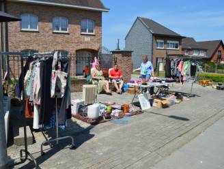 Garage- en rommelmarkt in de Arendwijk: “Met straatanimatie en kindergrime”