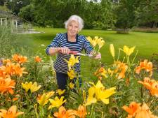 Anna (81) uit Hattem blijft fit dankzij hectare vol groen: ‘Deze tuin heeft mij gered’