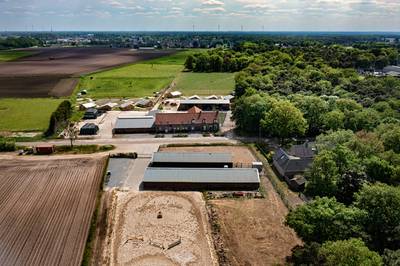 Bewoners in Neerkant vrezen overlast van ‘kamelen, zebra’s en dromedarissen’