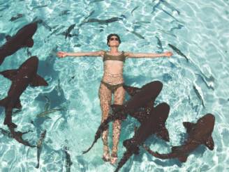 Winnares 'beste job ter wereld' wil verder als 'travel influencer': "Hoogtepunt? Zwemmen met haaien op Bahama's"